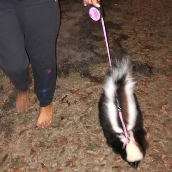 Meet your Posher, Carrie - Picture 4 of 5